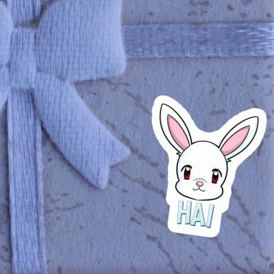Hai Sticker Rabbithead Gift package Image