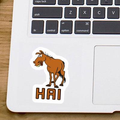 Sticker Hai Horse Laptop Image