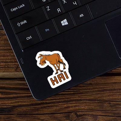 Sticker Hai Horse Gift package Image