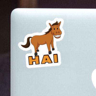 Hai Autocollant Cheval Notebook Image