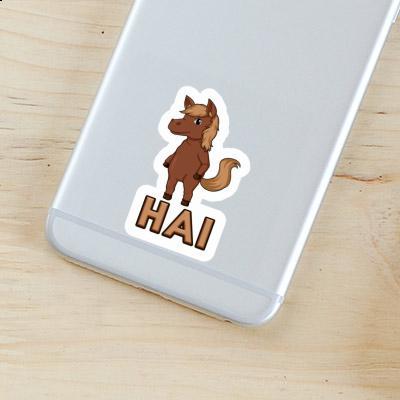 Sticker Horse Hai Notebook Sticker Horse Hai Gift package Image