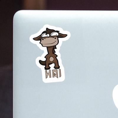 Sticker Pferd Hai Laptop Image