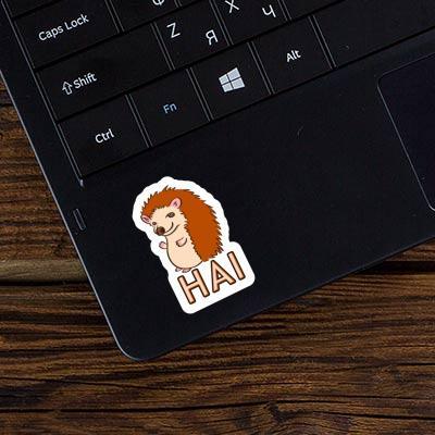 Hai Sticker Hedgehog Gift package Image