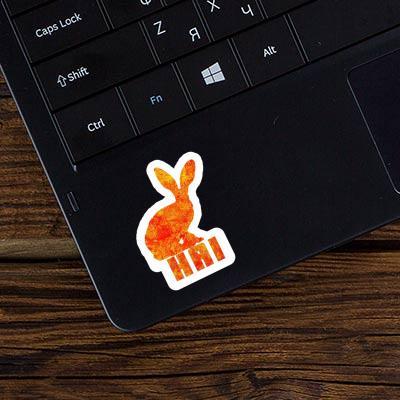 Sticker Hai Rabbit Gift package Image