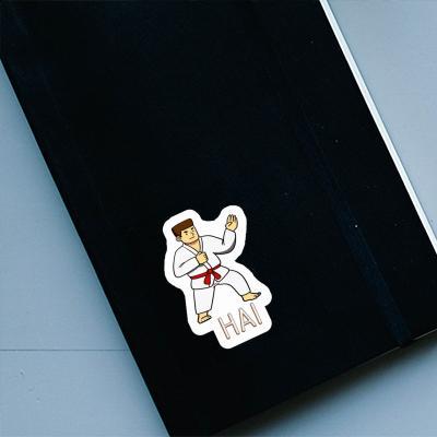 Autocollant Hai Karatéka Notebook Autocollant Hai Karatéka Gift package Image