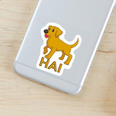 Autocollant Hai Labrador Gift package Image