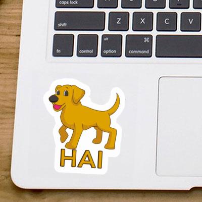 Sticker Labrador Hai Gift package Image