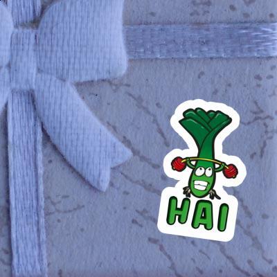 Sticker Hai Leek Gift package Image