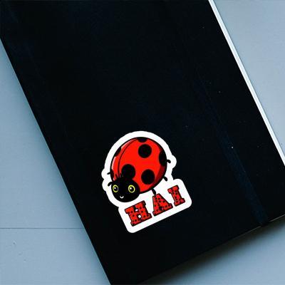 Hai Aufkleber Marienkäfer Notebook Hai Aufkleber Marienkäfer Gift package Image