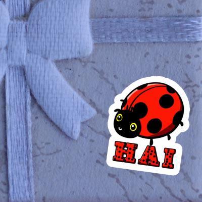 Coccinelle Autocollant Hai Gift package Image