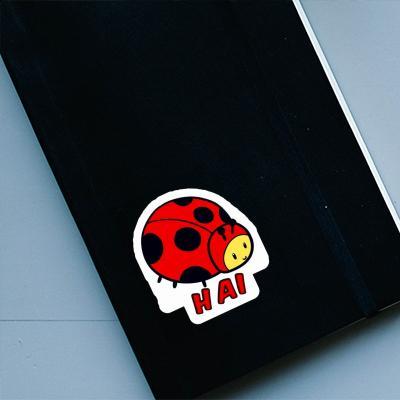 Coccinelle Autocollant Hai Gift package Image