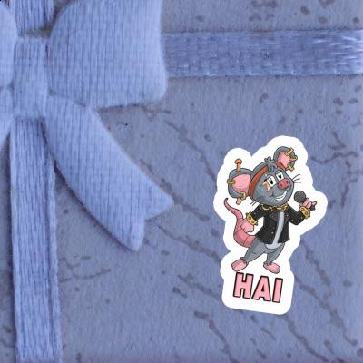 Autocollant Hai Chanteuse Gift package Image