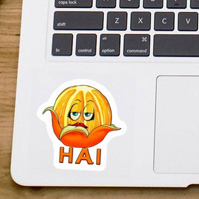 Sticker Orange Hai Gift package Image