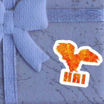 Autocollant Hibou Hai Gift package Image