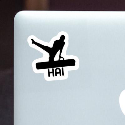 Gymnast Sticker Hai Notebook Gymnast Sticker Hai Notebook Image