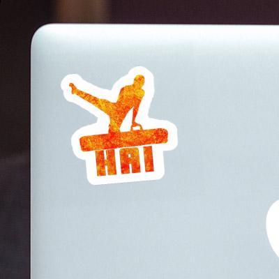 Gymnast Sticker Hai Image