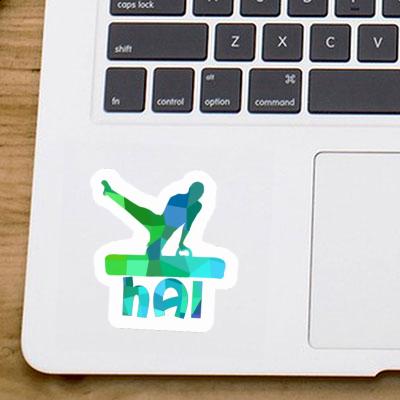 Gymnast Sticker Hai Laptop Gymnast Sticker Hai Laptop Image
