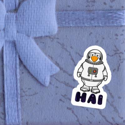 Hai Autocollant Astronaute Gift package Image