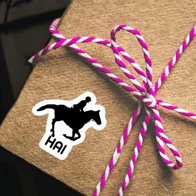 Horse Rider Sticker Hai Gift package Image