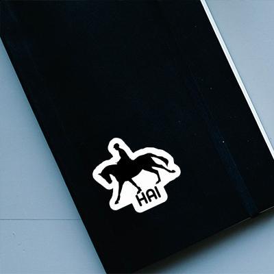 Sticker Horse Rider Hai Notebook Sticker Horse Rider Hai Gift package Image