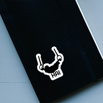 Gymnaste aux anneaux Autocollant Hai Notebook Gymnaste aux anneaux Autocollant Hai Gift package Image