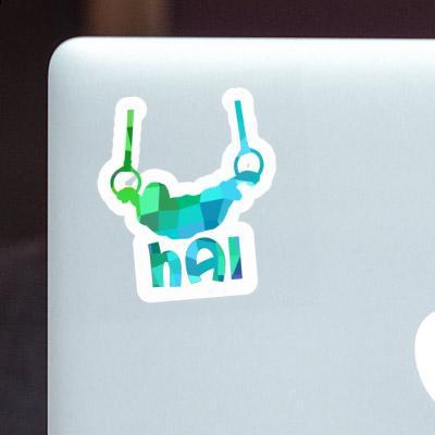Sticker Ring gymnast Hai Sticker Ring gymnast Hai Image