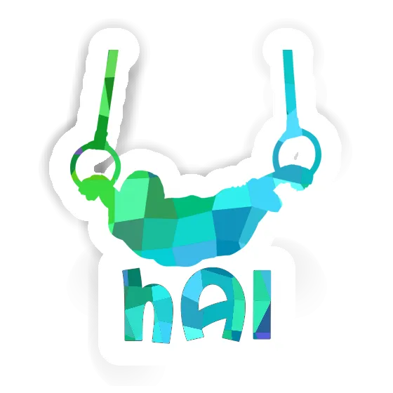 Sticker Ring gymnast Hai Notebook Sticker Ring gymnast Hai Gift package Image