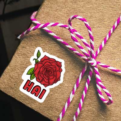 Hai Sticker Rose blossom Gift package Image