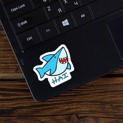 Shark Sticker Hai Gift package Image