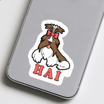 Aufkleber Hai Shih Tzu Image
