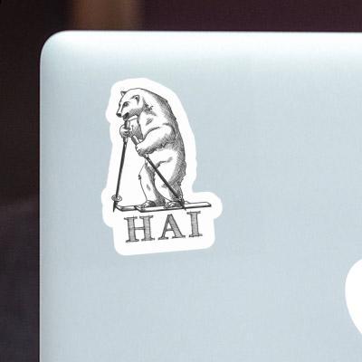 Sticker Hai Skifahrer Gift package Image
