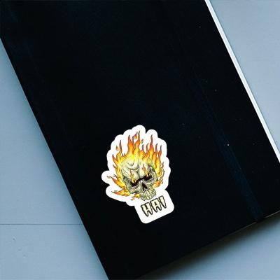 Hai Sticker Skull Notebook Image
