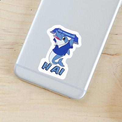 Delfin Sticker Hai Gift package Image
