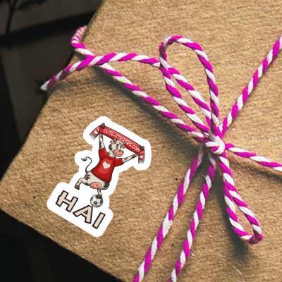 Sticker Hai Cow Notebook Sticker Hai Cow Gift package Image