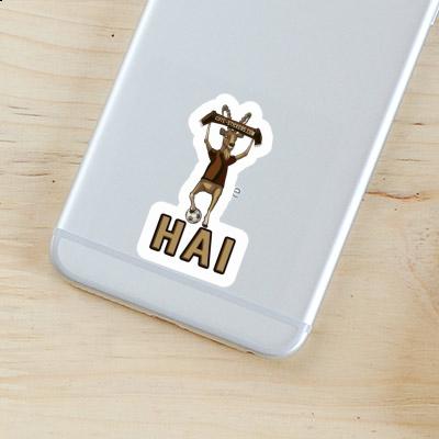 Hai Sticker Capricorn Gift package Image