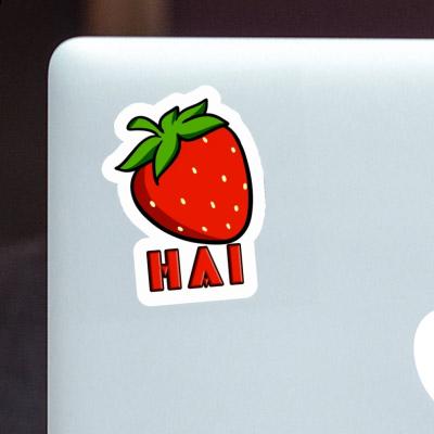 Strawberry Sticker Hai Notebook Strawberry Sticker Hai Gift package Image