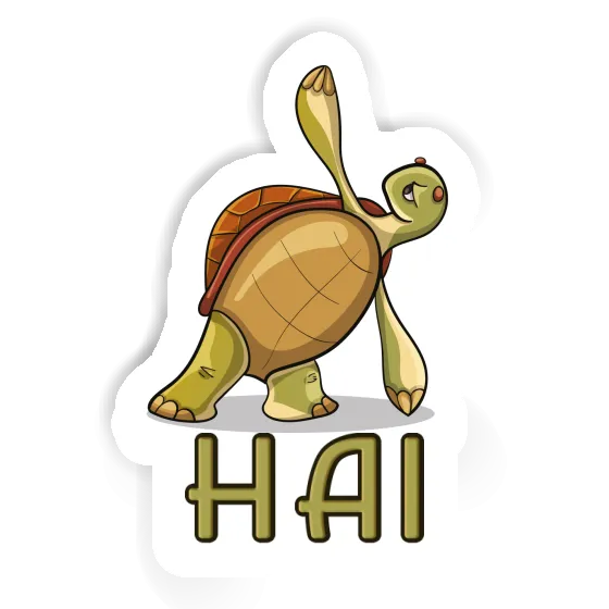 Autocollant Hai Tortue yoga Notebook Autocollant Hai Tortue yoga Gift package Image