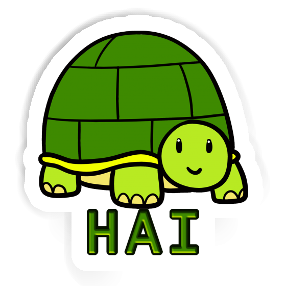 Hai Autocollant Tortue Gift package Image
