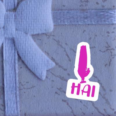 Sticker Windsurfer Hai Gift package Image