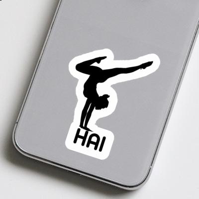 Autocollant Femme de yoga Hai Notebook Autocollant Femme de yoga Hai Gift package Image
