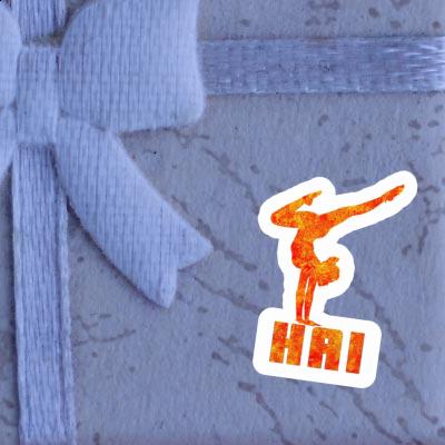 Hai Autocollant Femme de yoga Notebook Hai Autocollant Femme de yoga Gift package Image