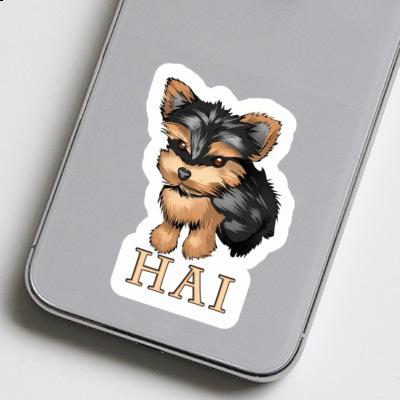 Sticker Hai Terrier Gift package Image