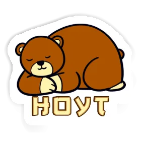Sticker Bear Hoyt Image