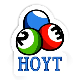 Hoyt Sticker Billiard Ball Image
