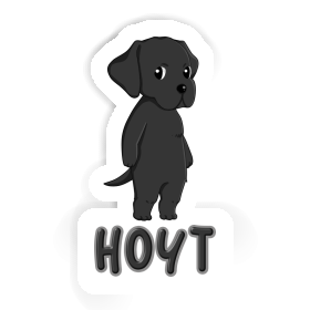Sticker Labrador Retriever Hoyt Image