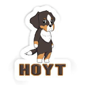 Sticker Bernese Mountain Dog Hoyt Image