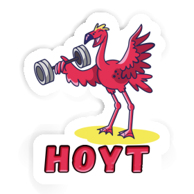 Sticker Hoyt Weight Lifter Image