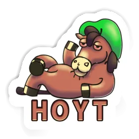 Hoyt Sticker Lying horse Image