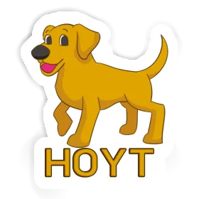 Hoyt Sticker Labrador Image