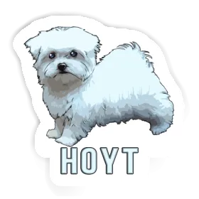 Sticker Maltese Hoyt Image